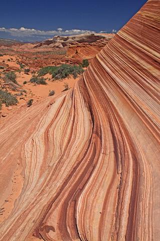 074 the wave.JPG